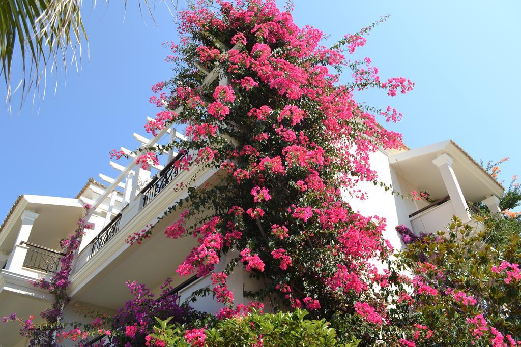 Delfino Blu Wellness Boutique Hotel Агиос Стефанос Экстерьер фото